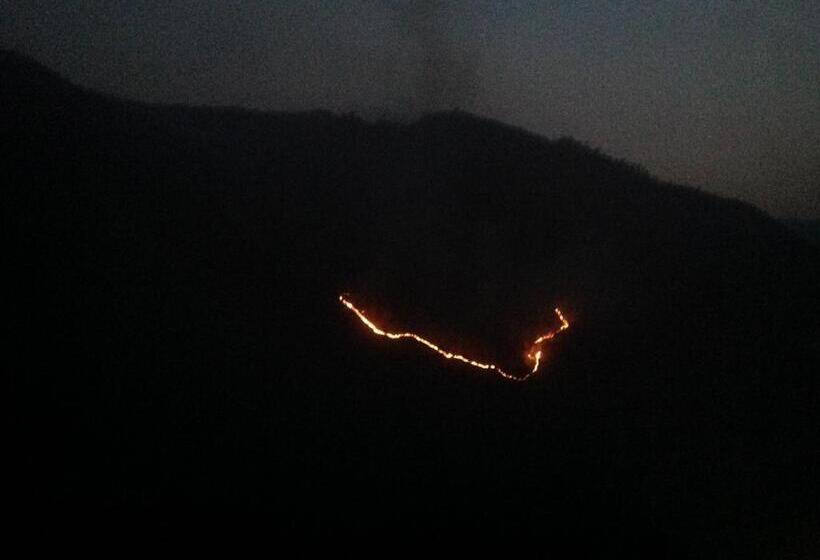 בית מלון כפרי Woodsvilla Resort