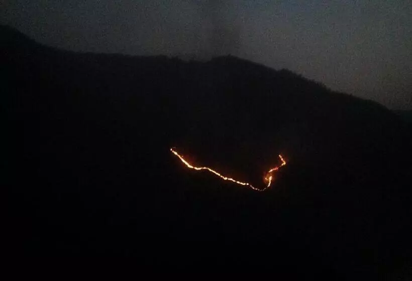 Отель Woodsvilla Resort