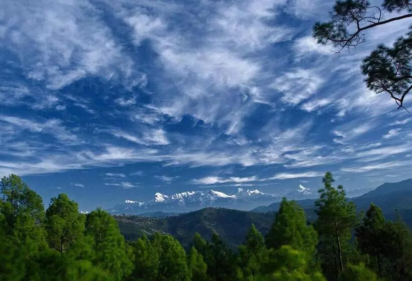 Отель Woodsvilla Resort