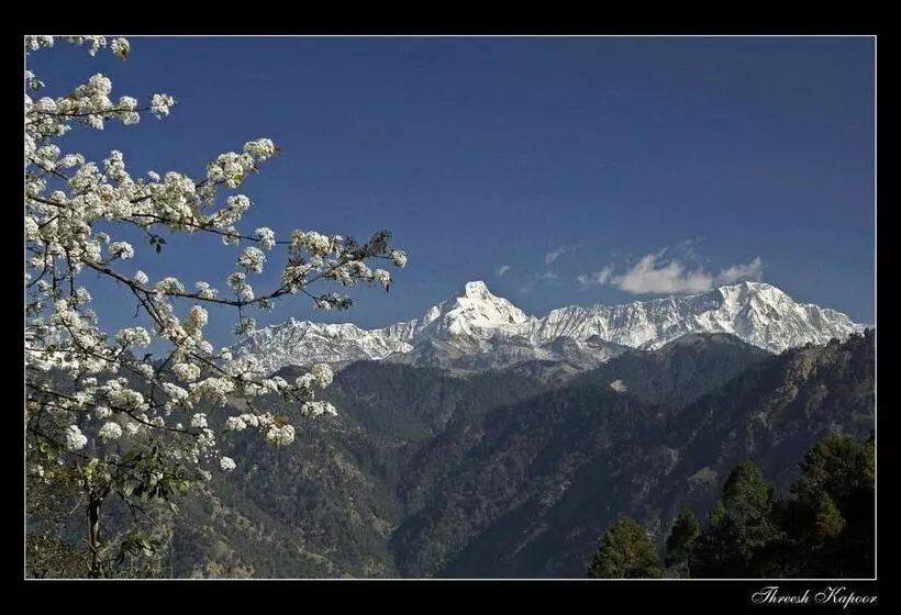 Отель Woodsvilla Resort