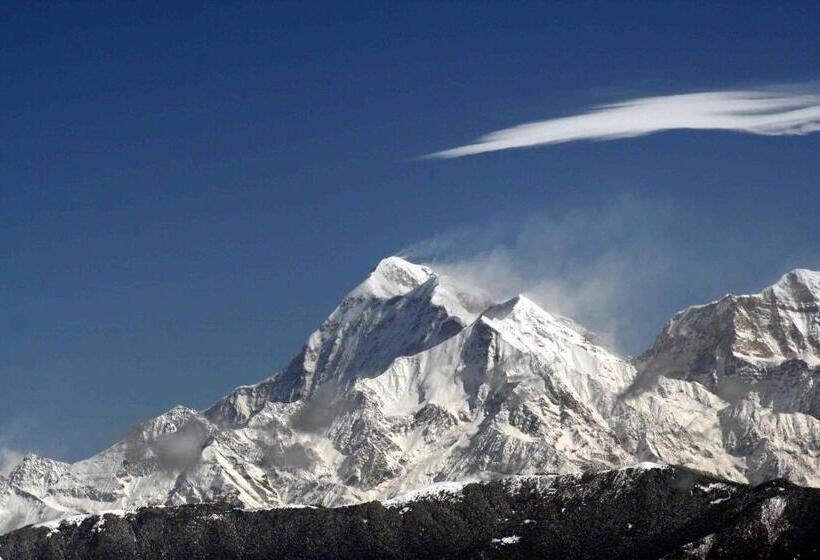 בית מלון כפרי Woodsvilla Resort