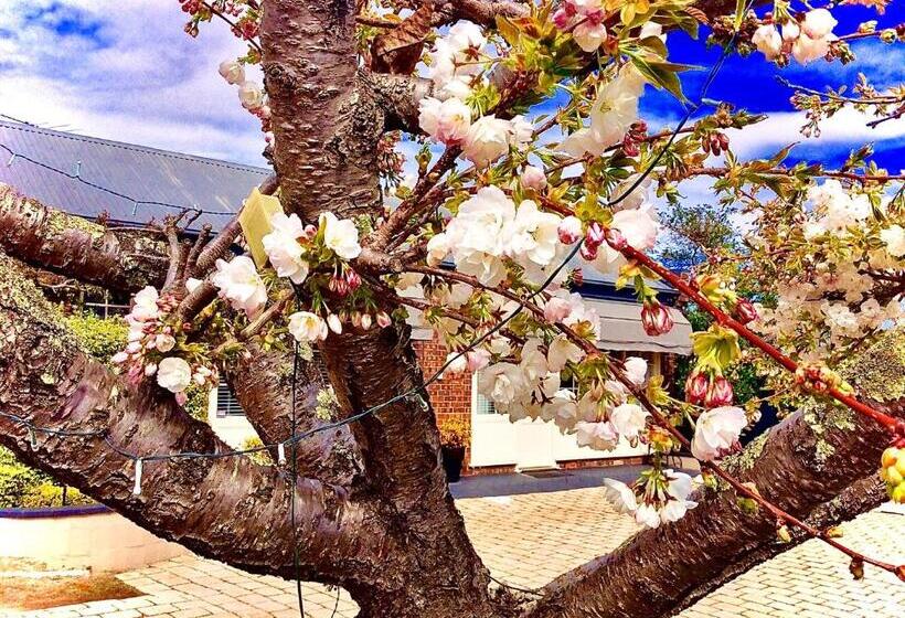 민박 Kurrajong House