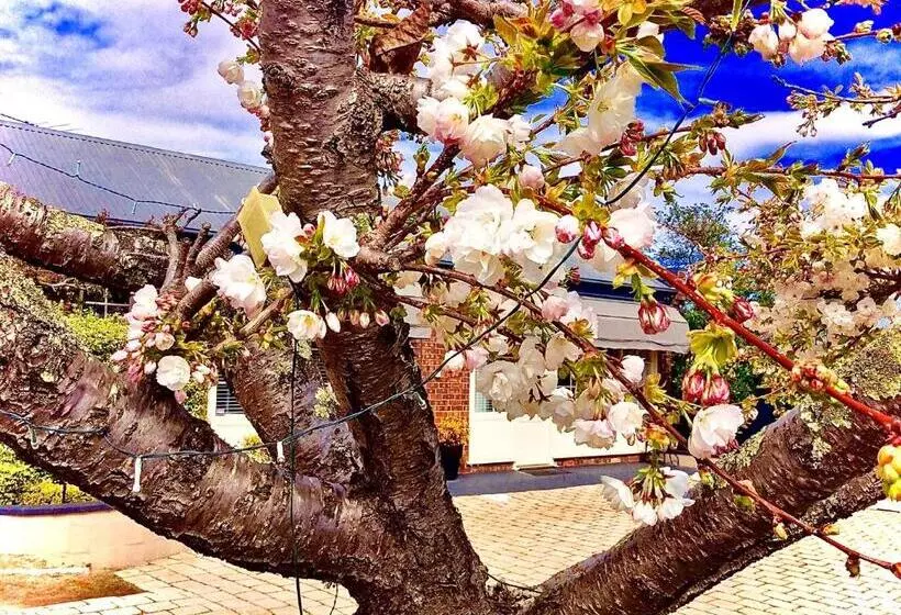 Bed and Breakfast Kurrajong House