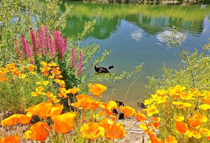 استراحتگاه Villa Huapi