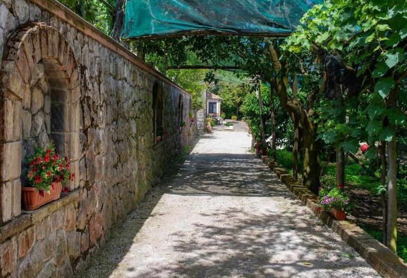 Bed and Breakfast Il Casale Sorrento