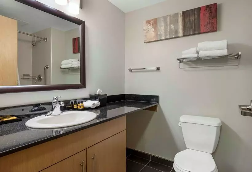 בית מלון כפרי Best Western Plus Airport Inn & Suites