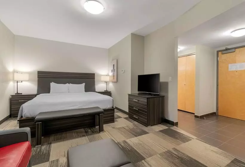 בית מלון כפרי Best Western Plus Airport Inn & Suites