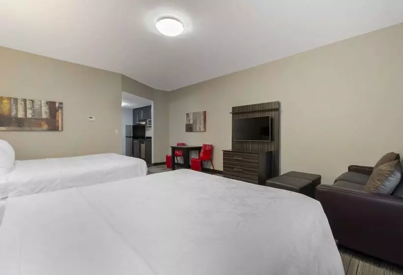 בית מלון כפרי Best Western Plus Airport Inn & Suites