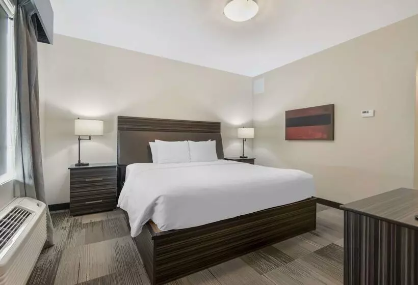 בית מלון כפרי Best Western Plus Airport Inn & Suites