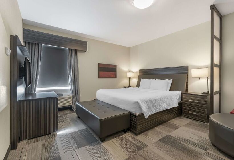 هتل Best Western Plus Airport Inn & Suites