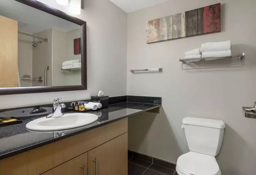 בית מלון כפרי Best Western Plus Airport Inn & Suites