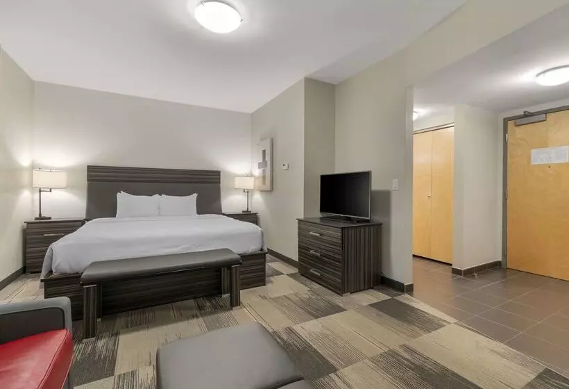 בית מלון כפרי Best Western Plus Airport Inn & Suites