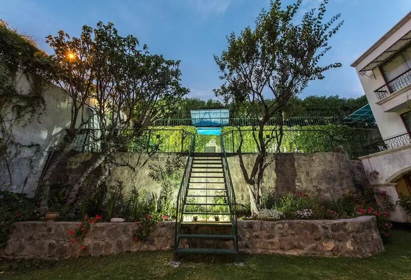 Отель Boutique Villa Elisa