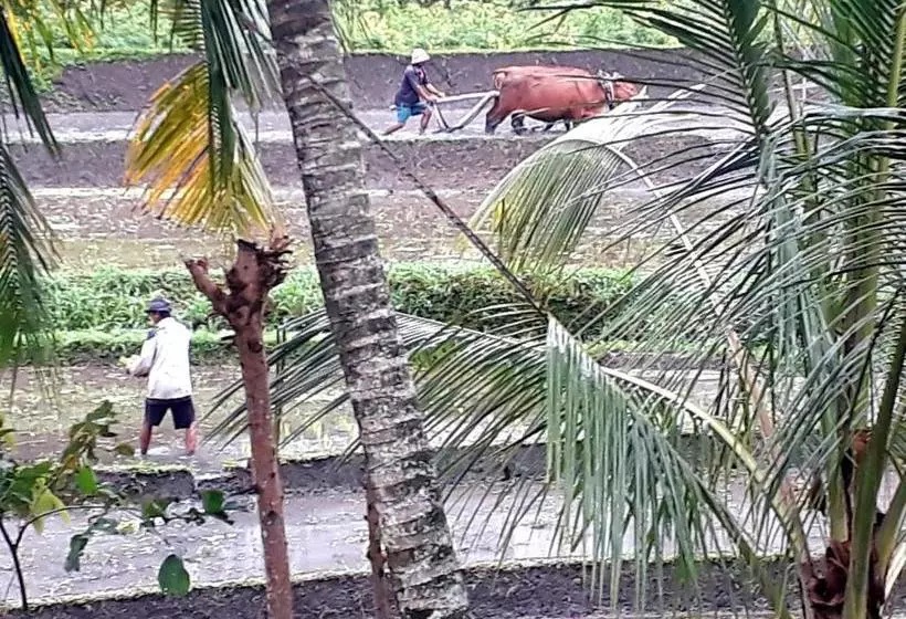 酒店 Surya Shanti Villa Sidemen