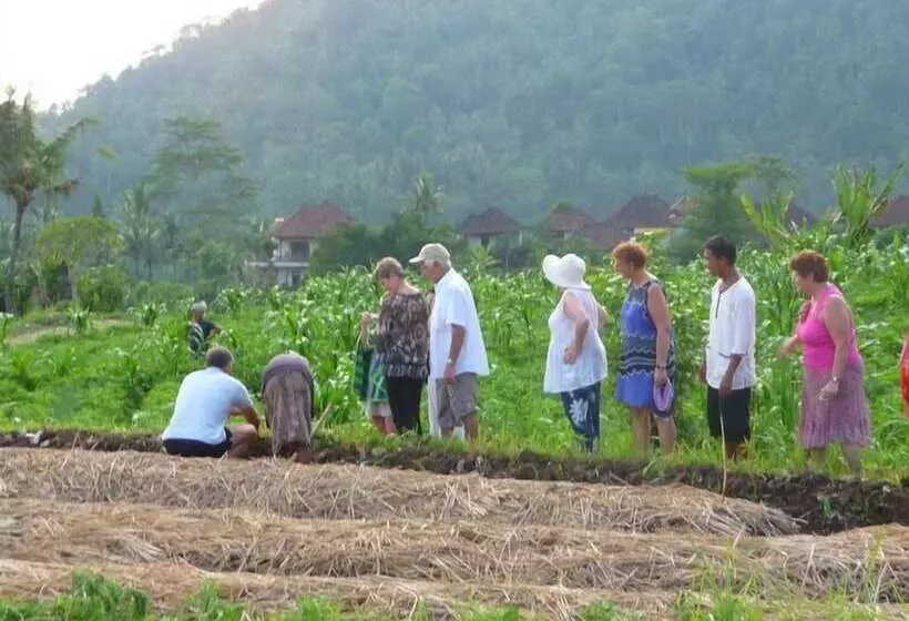 酒店 Surya Shanti Villa Sidemen