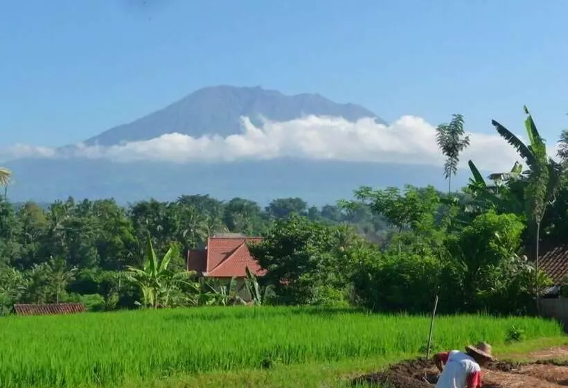 酒店 Surya Shanti Villa Sidemen