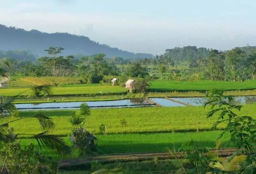 酒店 Surya Shanti Villa Sidemen