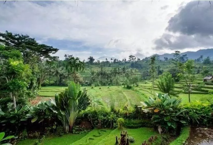 酒店 Surya Shanti Villa Sidemen