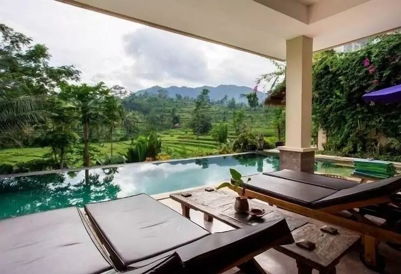 酒店 Surya Shanti Villa Sidemen