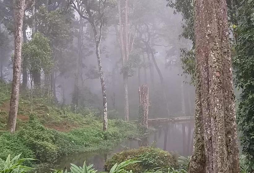 Hotel Woodpecker Resort