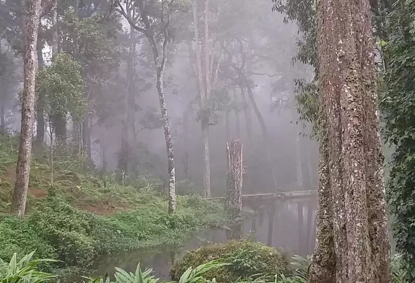 Hotel Woodpecker Resort