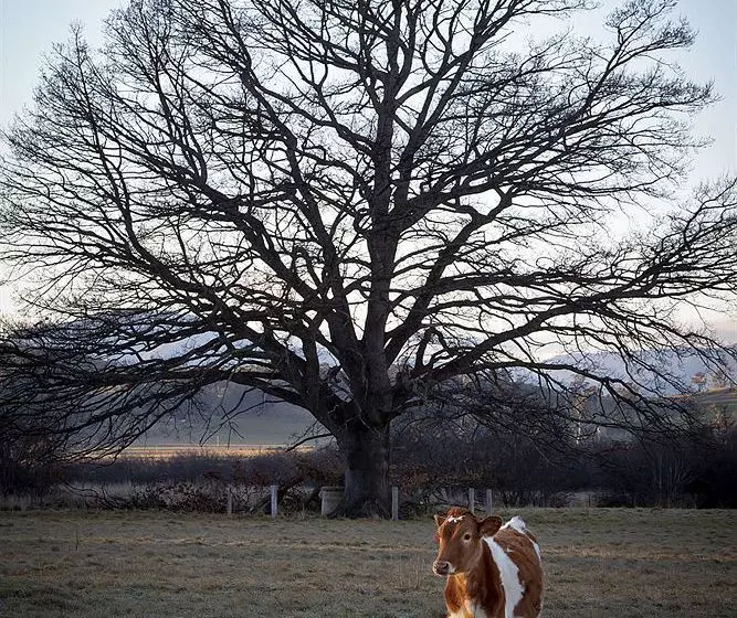 Old Wesleydale Heritage Accommodation