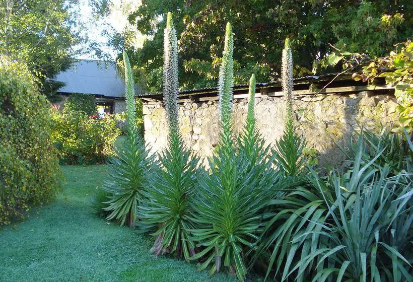 Old Wesleydale Heritage Accommodation