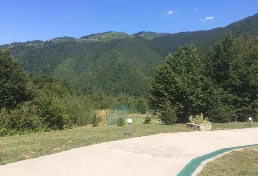 Park Hotel Ribaritsa