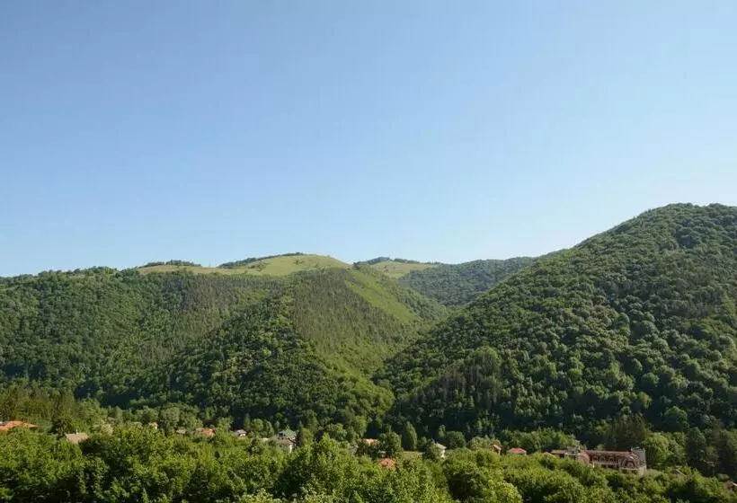 Park Hotel Ribaritsa