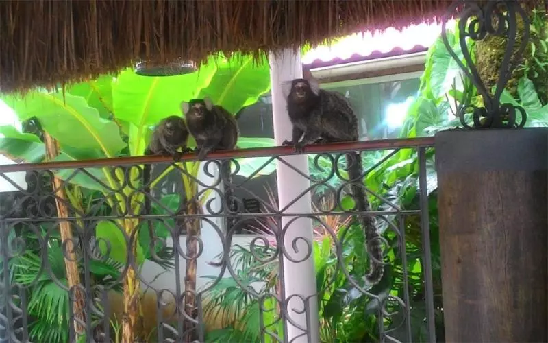 膳宿费 Pousada Lua Clara