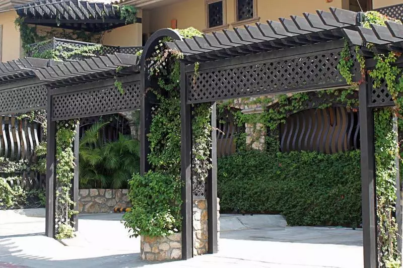 Cabo Vista Hotel Adults Only