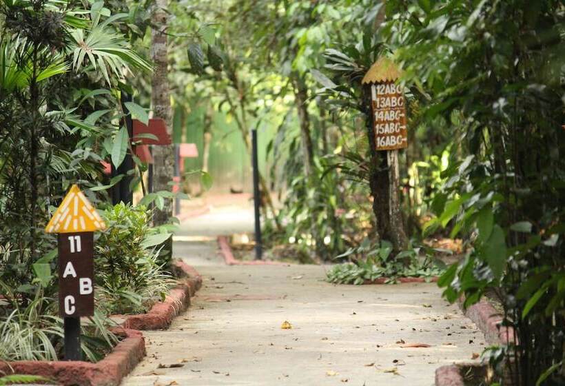 בית מלון כפרי Amazon Ecopark Jungle Lodge