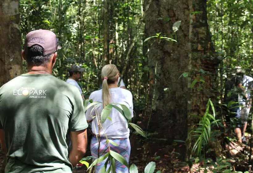 בית מלון כפרי Amazon Ecopark Jungle Lodge