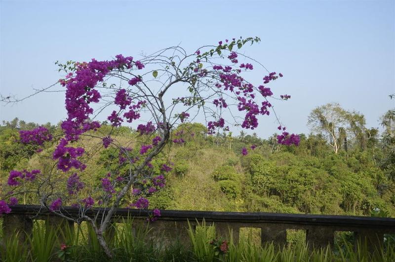 فندق Anhera Suite Ubud