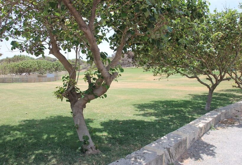 酒店 Seaspray Beach Holiday Park