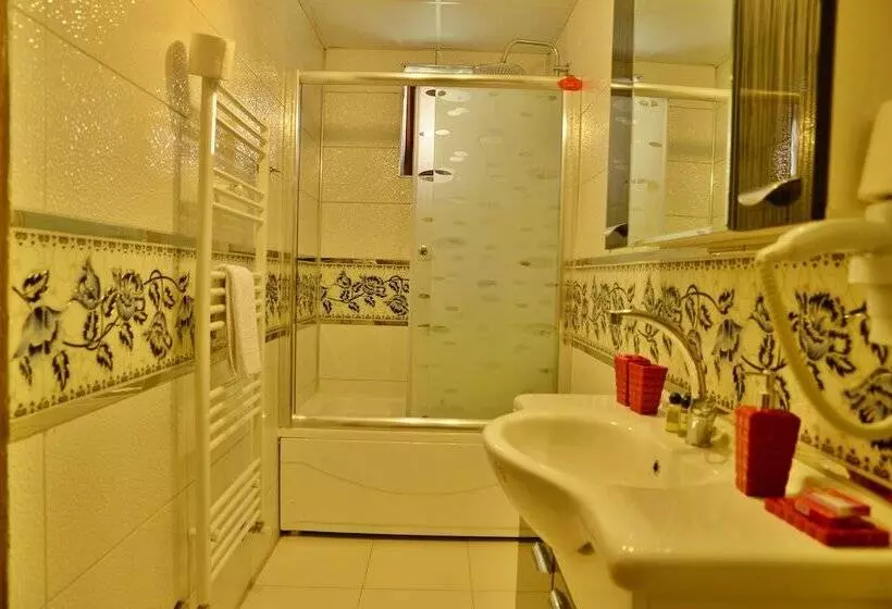 펜션 Dedeli Deluxe