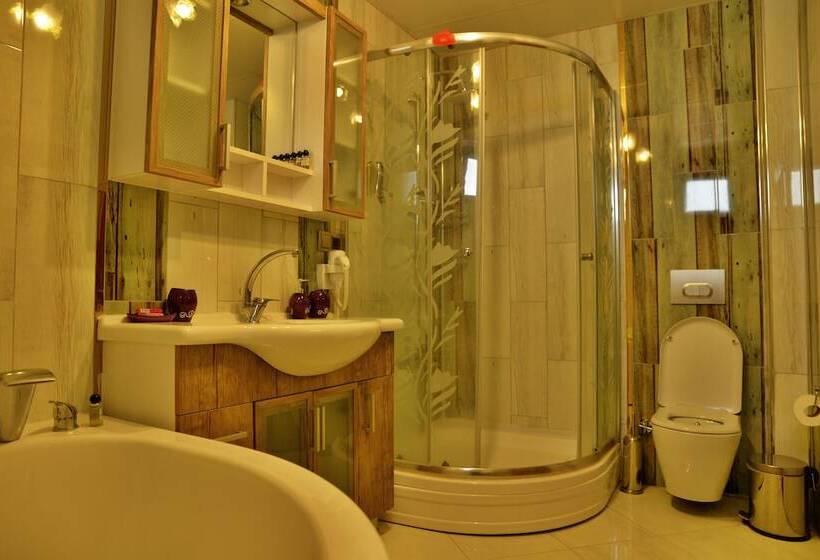 پانسیون Dedeli Deluxe