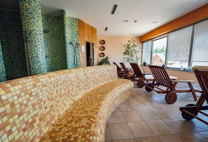 Pohorje Village Wellbeing Resort   Forest Hotel Videc