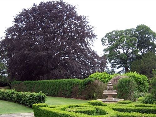 The Wold Cottage  B&b