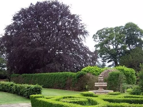 The Wold Cottage  B&b