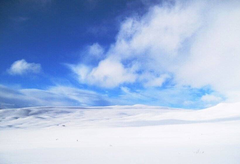 Havsdalsgrenda Apartments