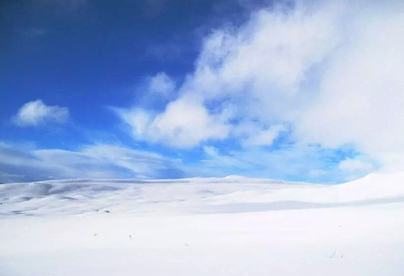 Havsdalsgrenda Apartments