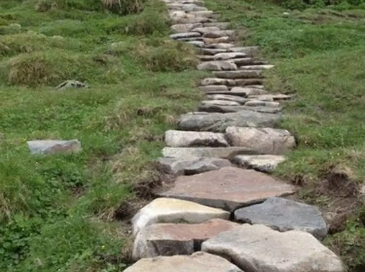 Havsdalsgrenda Apartments