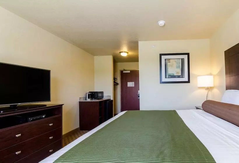 Hotel Cobblestone Inn & Suites  Cambridge