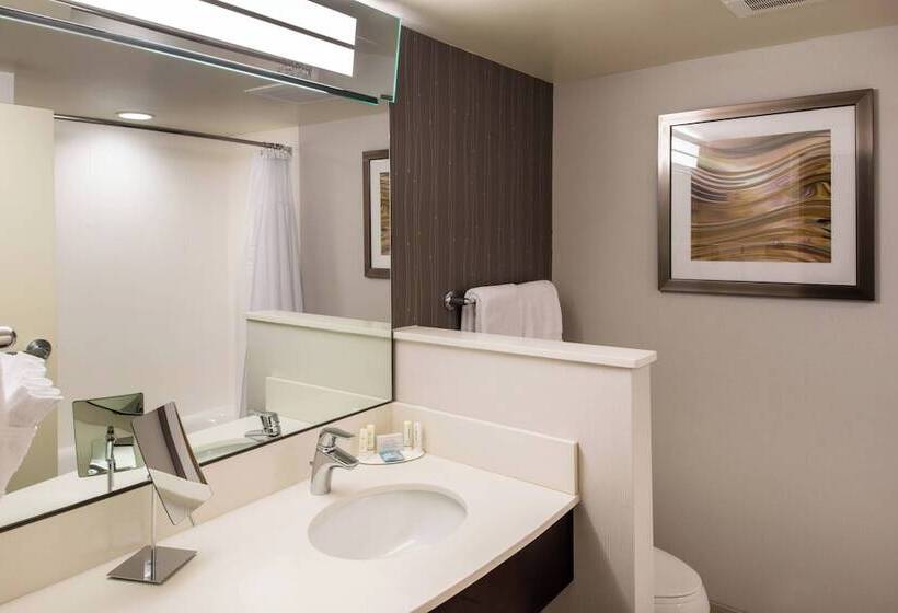 酒店 Courtyard By Marriott Jacksonville