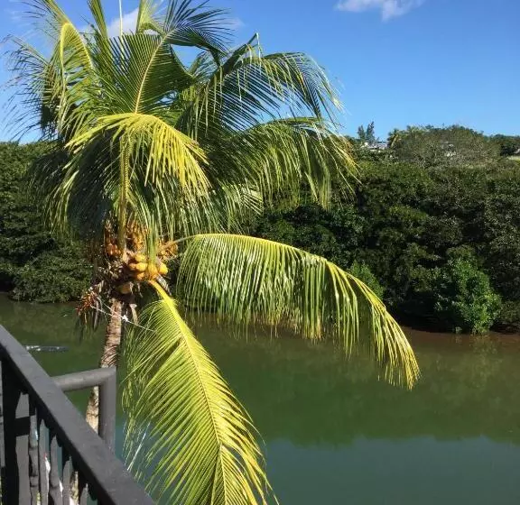 هتل Le Bamboo Guest House