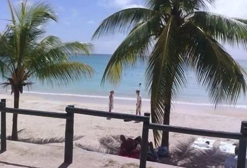 هتل Le Bamboo Guest House