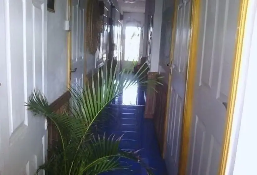 هتل Le Bamboo Guest House