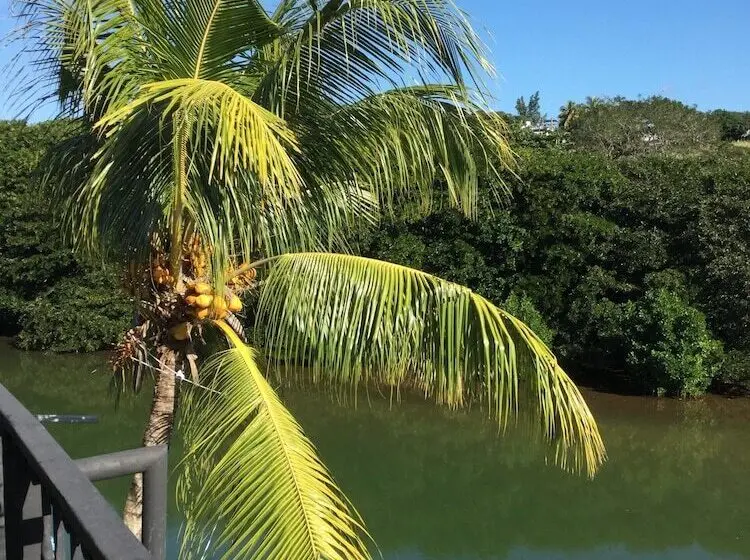 هتل Le Bamboo Guest House