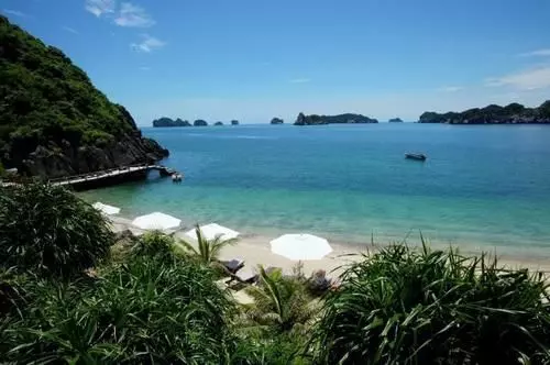 هتل Monkey Island Resort